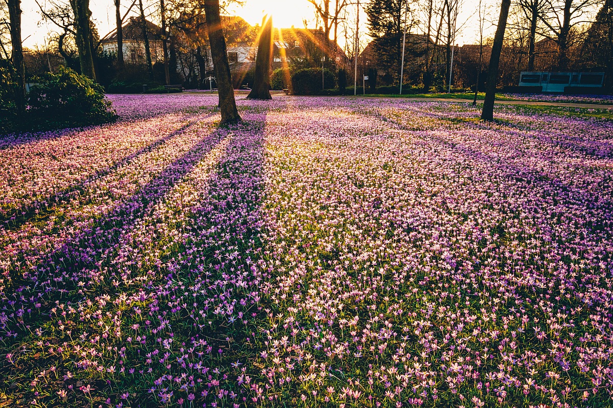 full