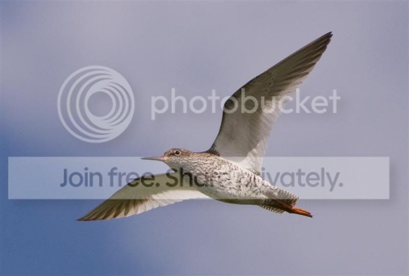 2006200912von22.jpg