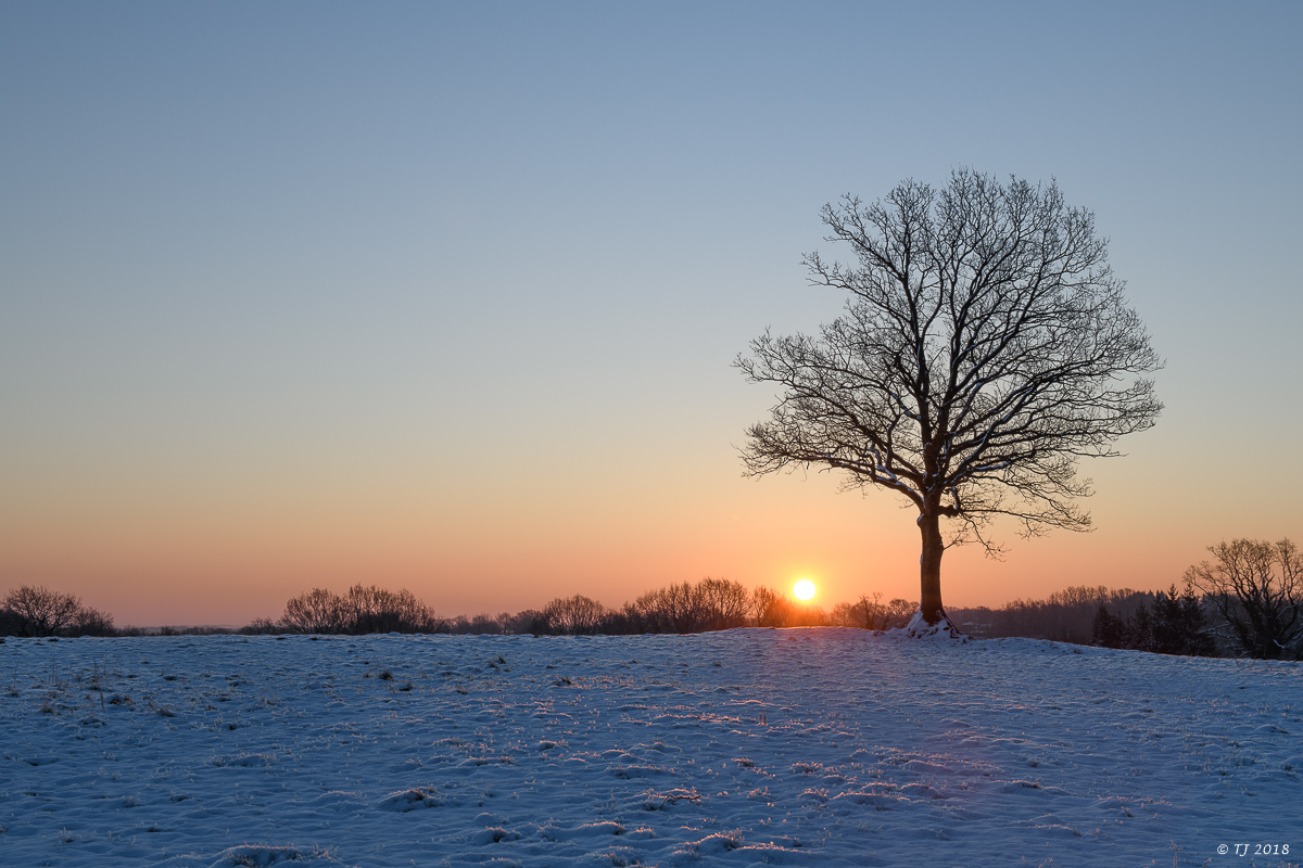 DSC_0479.jpg