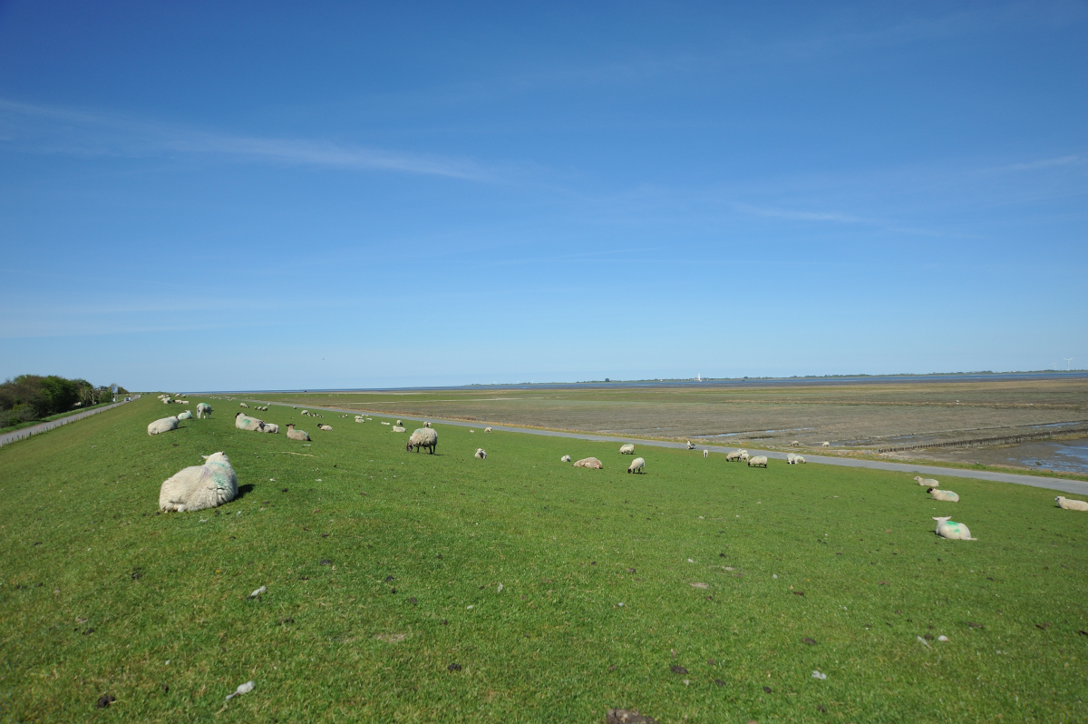 DSE_6463.JPG
