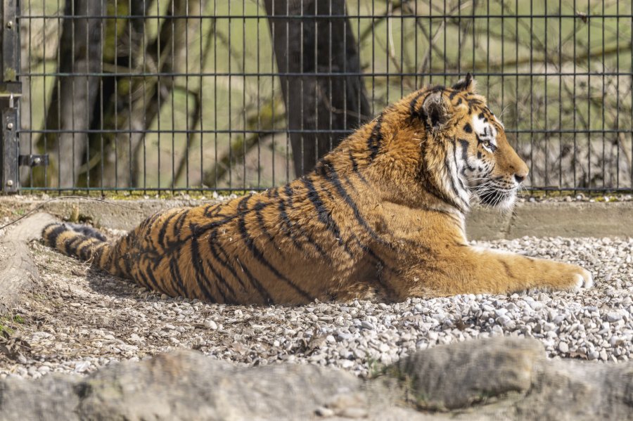 tierpark_haag23_22.jpg
