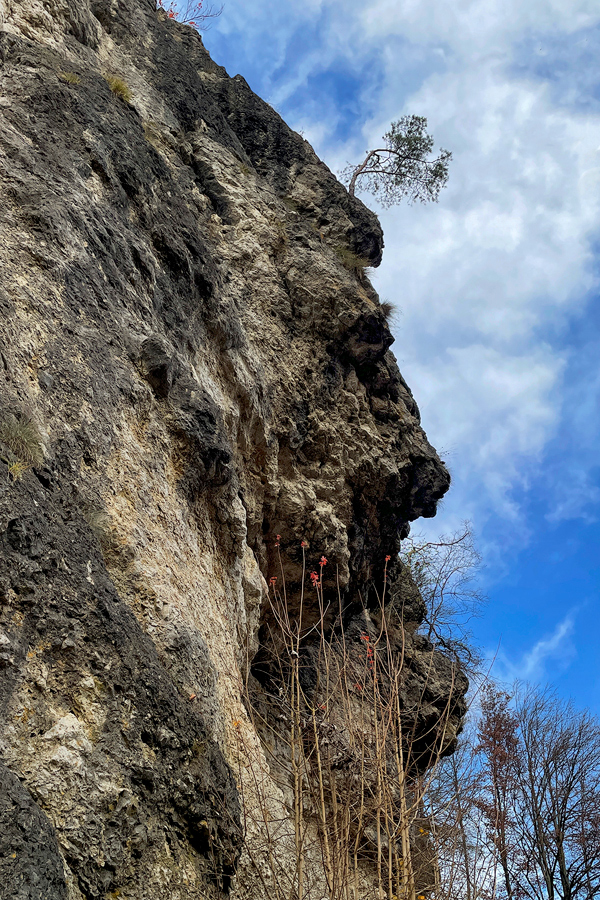 Obertrubach04.jpg