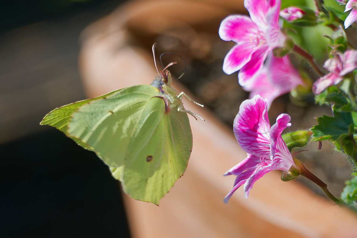 full