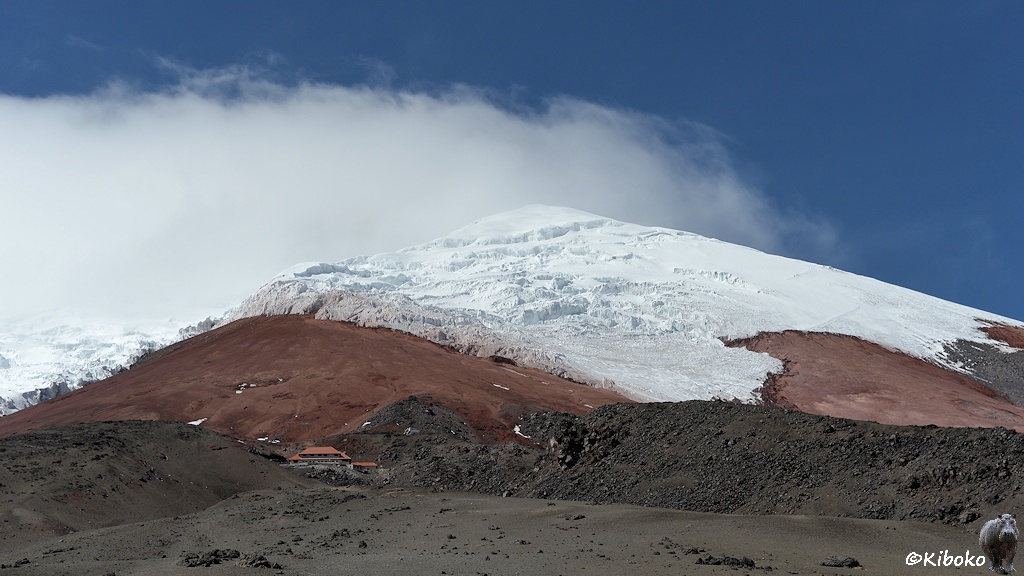 Das Bild zeigt die Spitze eines Schneebedeckten Vulkans. Im unteren Bereich ist der Berg dunkelgrau. Dann kommt ein rötlicher Streifen, der durch einen Gletscher in Bildmitte geteilt wird. Am linken Bildrand ist an der Grenze von grauen Gestein zu rötlichem Gestein ein größerer Haus.