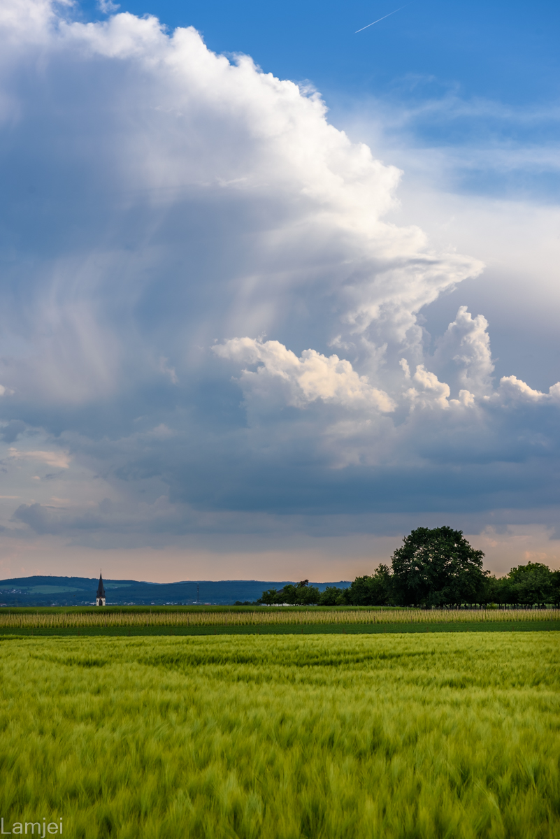 DSC_3533-HDR.jpg
