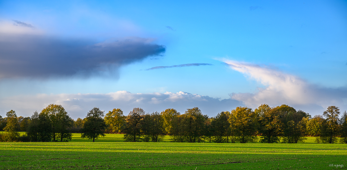 DSC_3523.jpg
