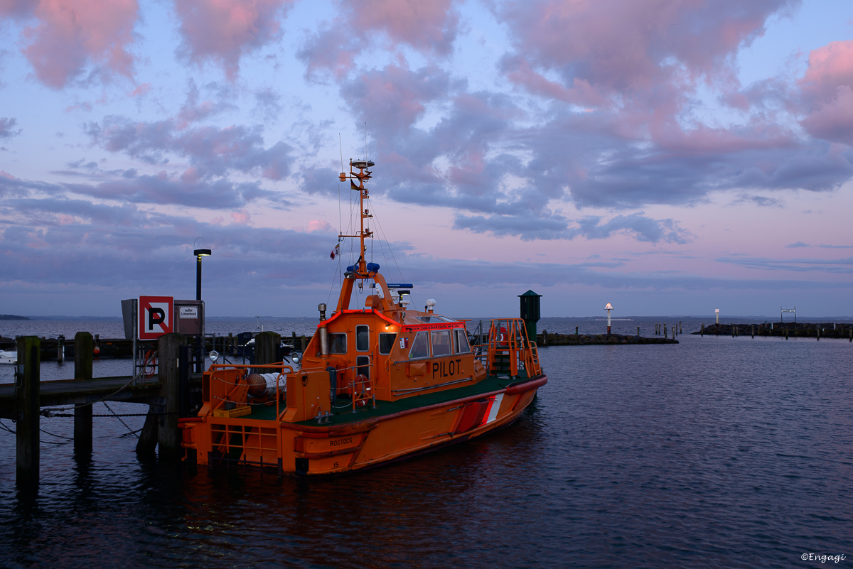 DSC_0520.jpg