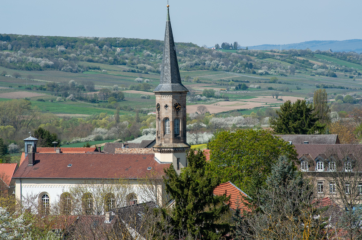 DSD_1096.jpg