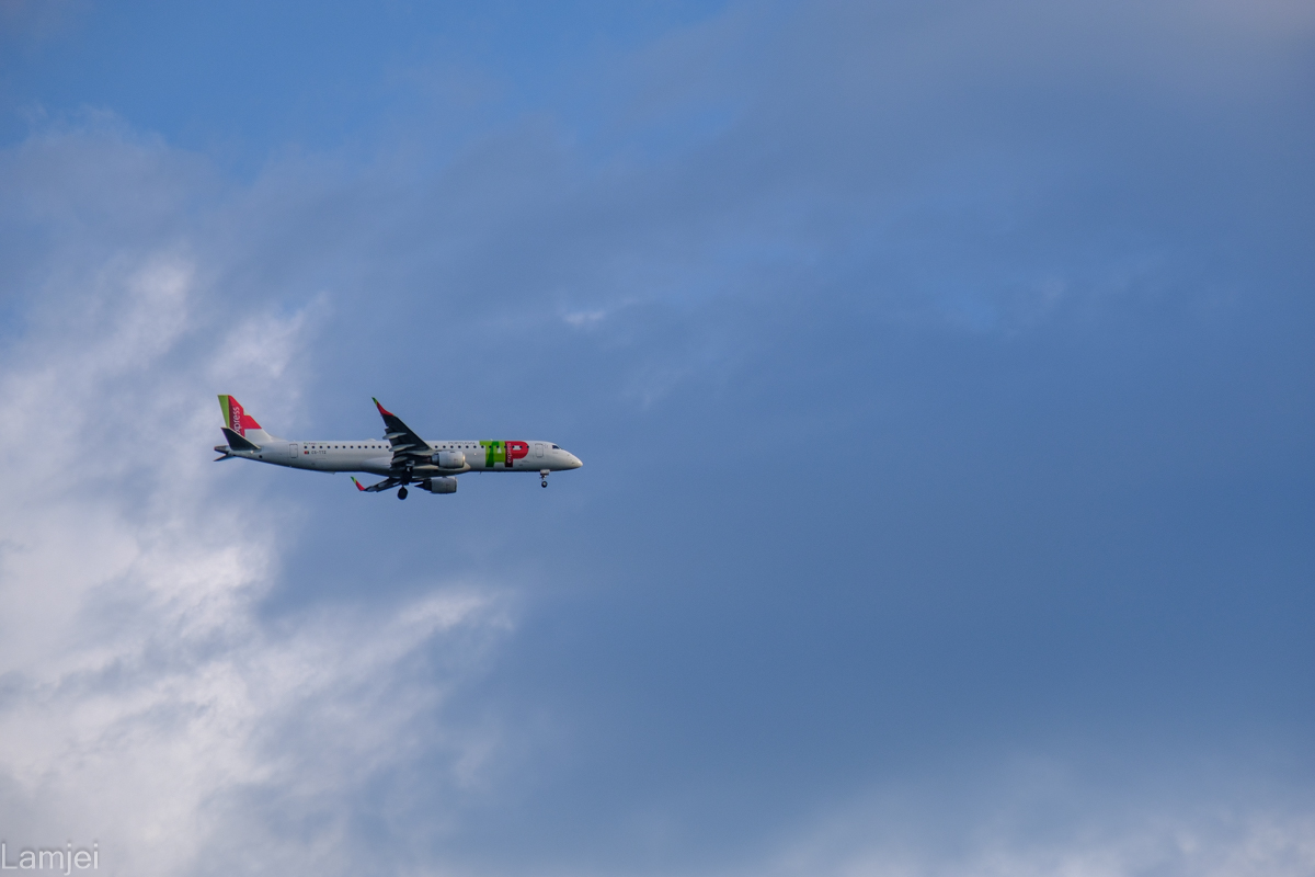 _DSF8609.jpg