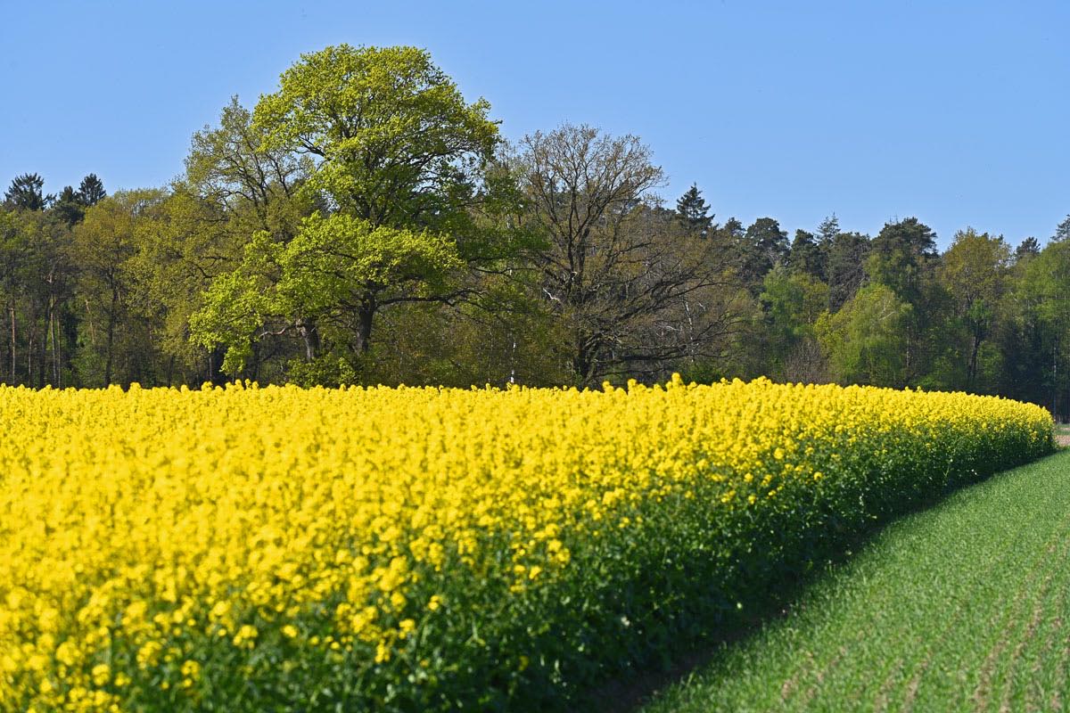 full