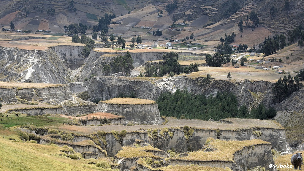 Das Bild zeigt den Talboden vom vorherigen Bild aus der Nähe. Eine Schmale Halbinsel geht vom linken Bildrand quer durch das Bild. Im Hintergrund stehen einzelne Häuser am Berghang.