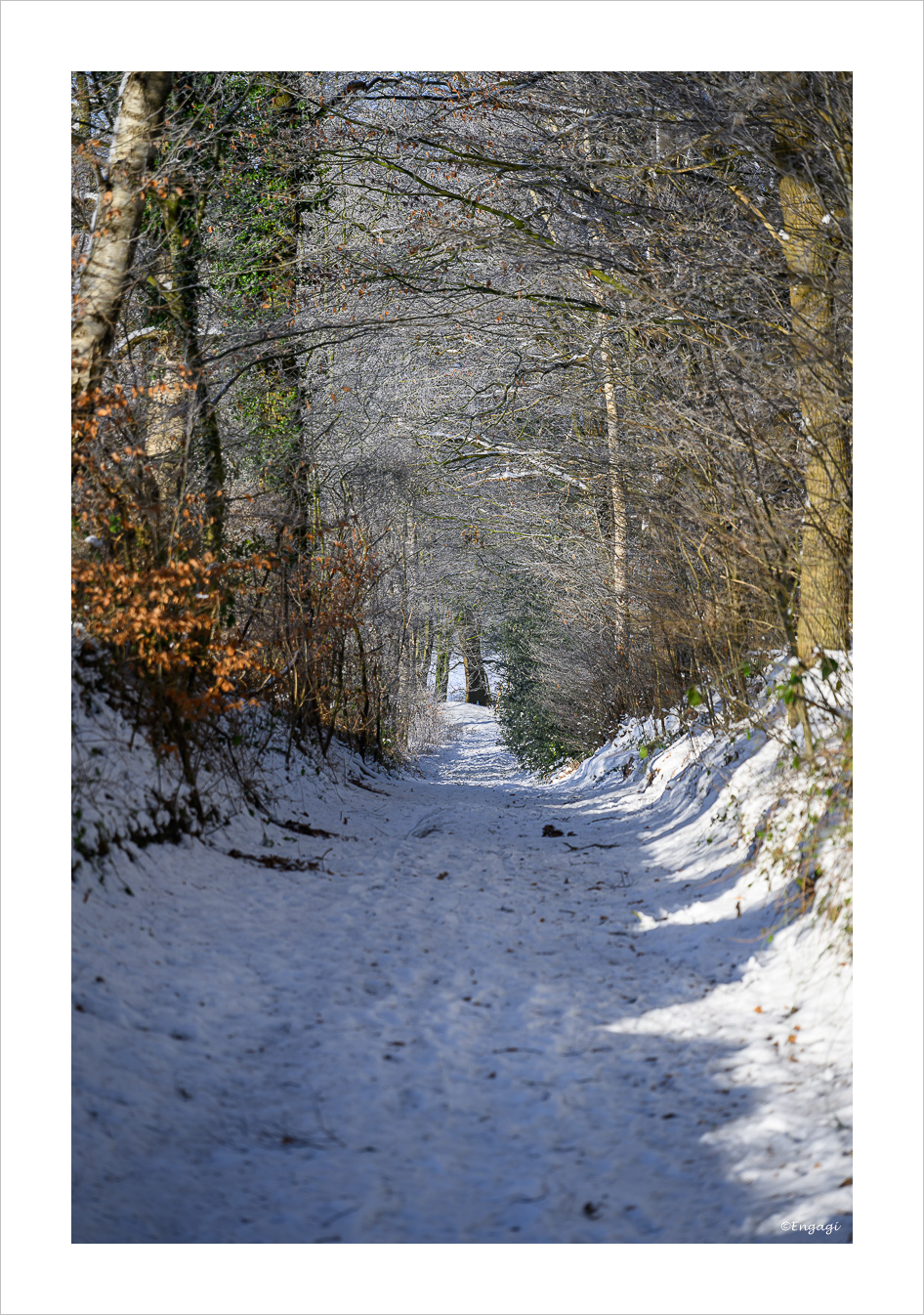 DSC_9558.jpg