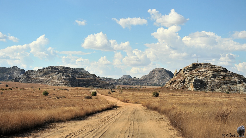 Das Bild zeigt eine Sandpiste durch eine Ebene mit trockenem Gras. Im Hintergrund sind graue Felsen und Berge aus grauem Fels.