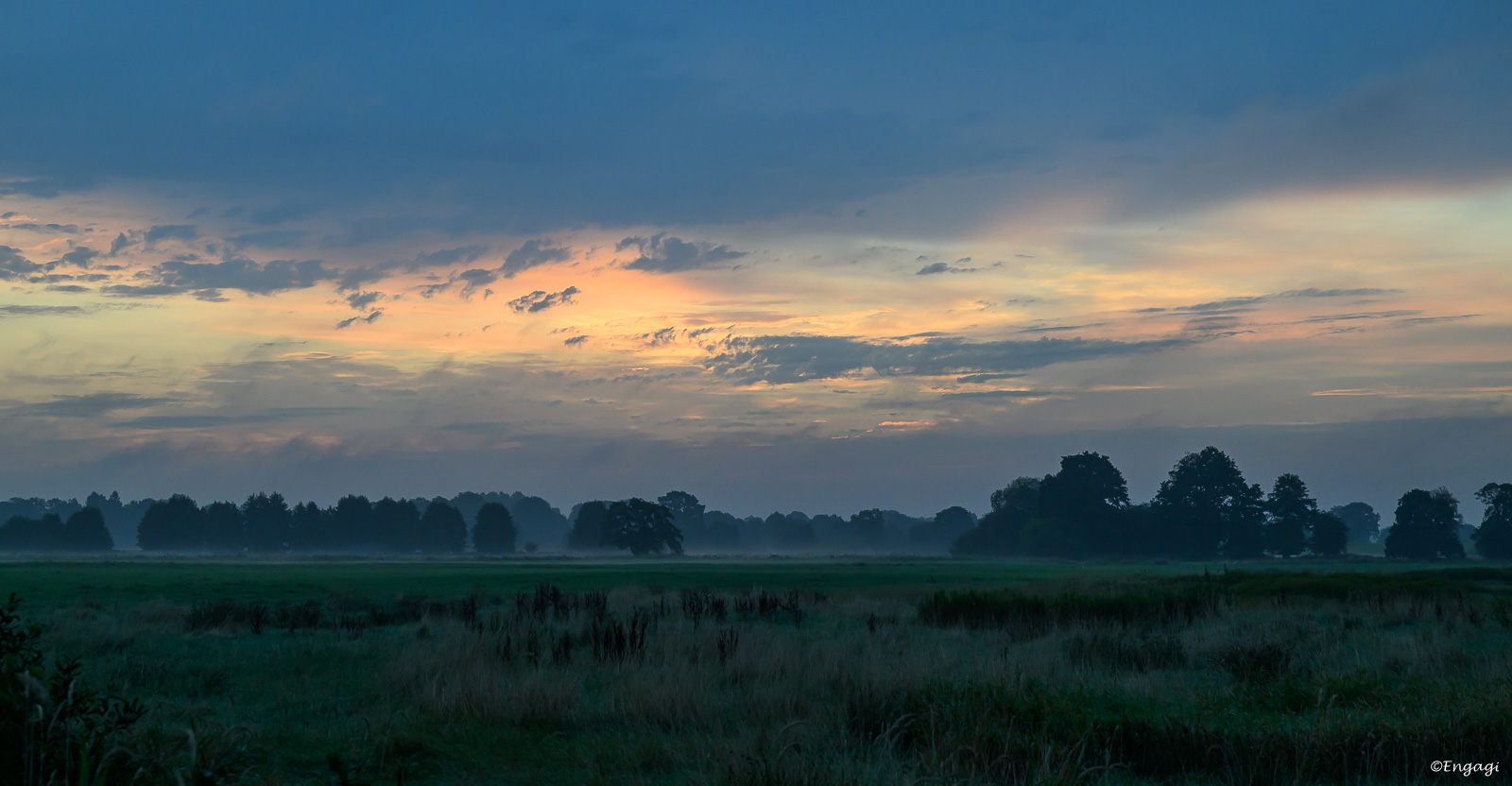 DSC_0464.jpg