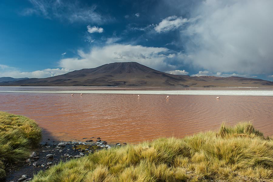 atacama16_030.jpg