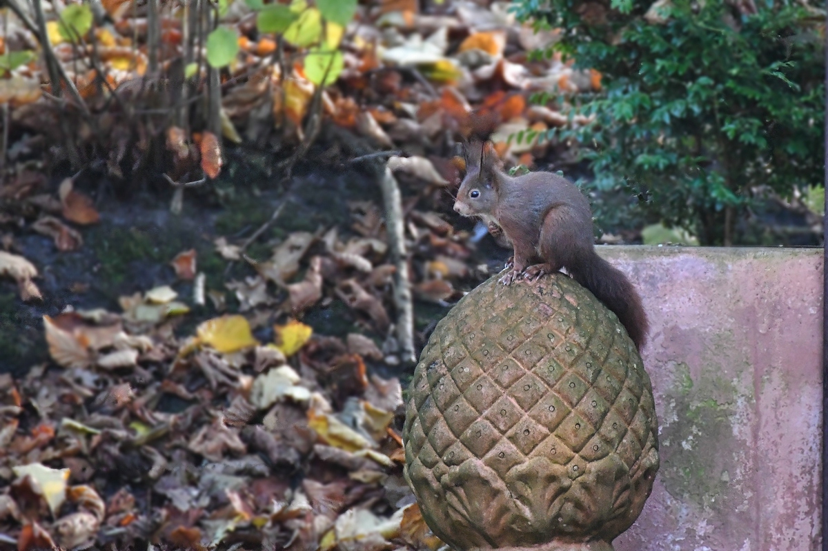 full
