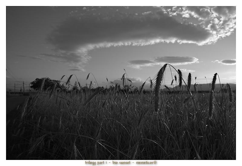 s_DSC_0032_bw_lzn.jpg