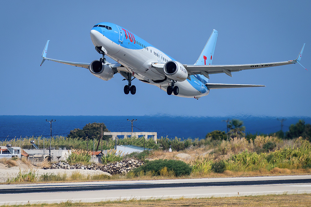 44557407rl.jpg