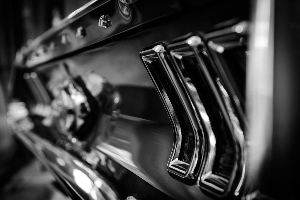 Mustang_4534_sw.jpg
