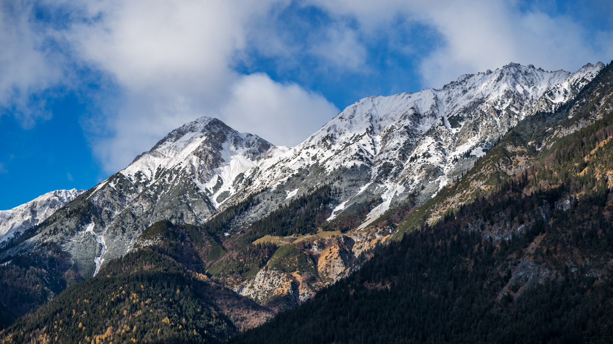 20241120w_NZ8_2731NF.jpg
