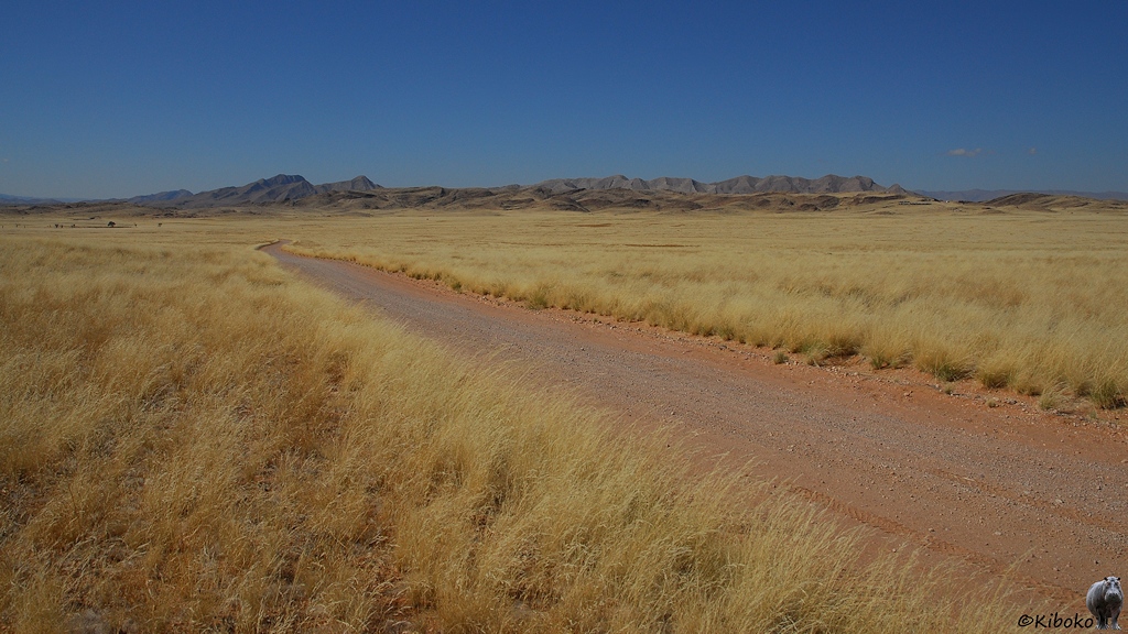 Ein Schotterweg führt durch eine trocken Grasebene auf eine Hügelkette zu.