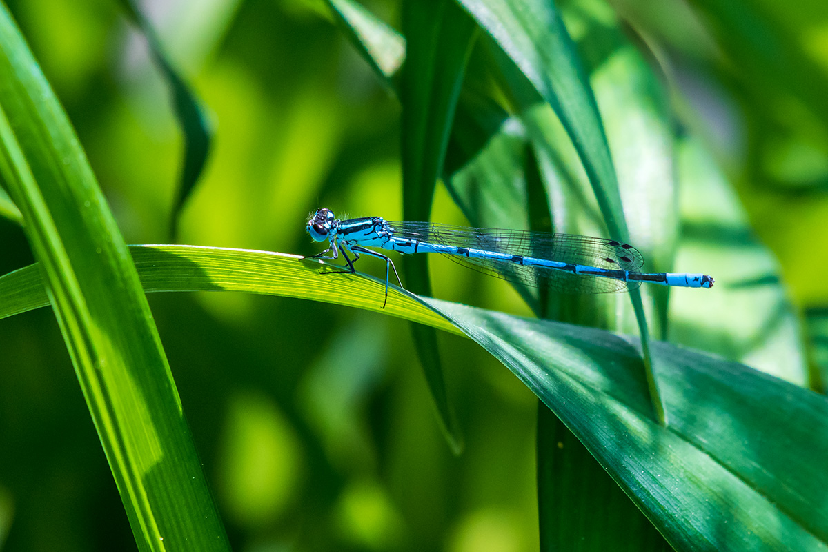 20180503_D500_0214NF.jpg