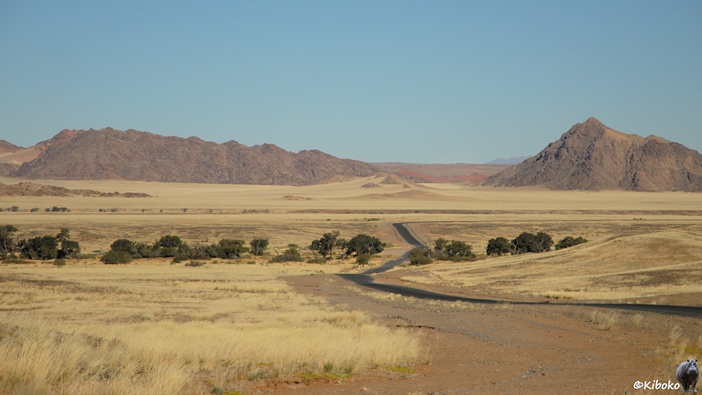 Eine Asphaltstraße schlängelt sich durch ein Tal mit trockenem Gras. Im Hintergrund sind schroffe graue Berge.