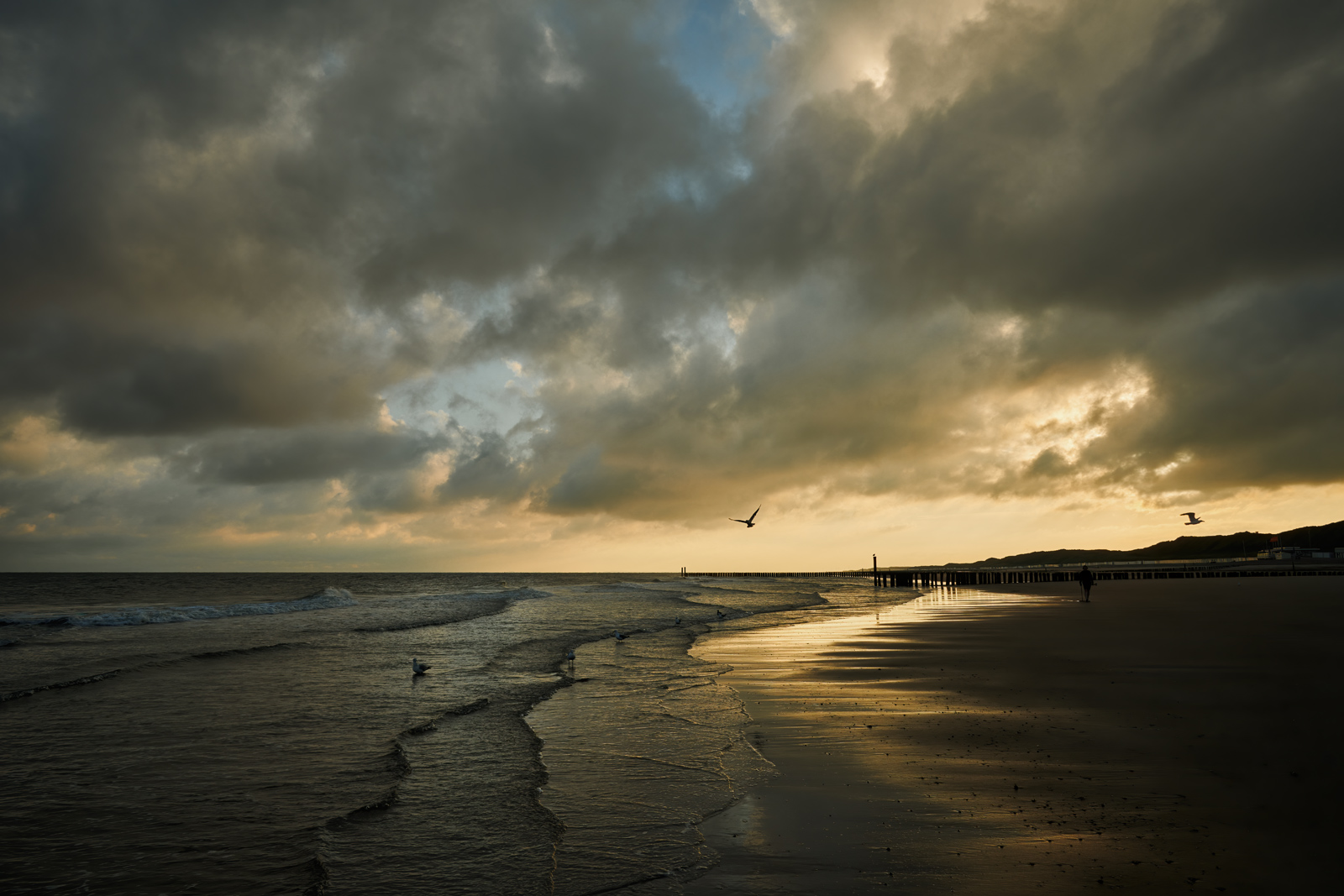 DSC_2951.jpg