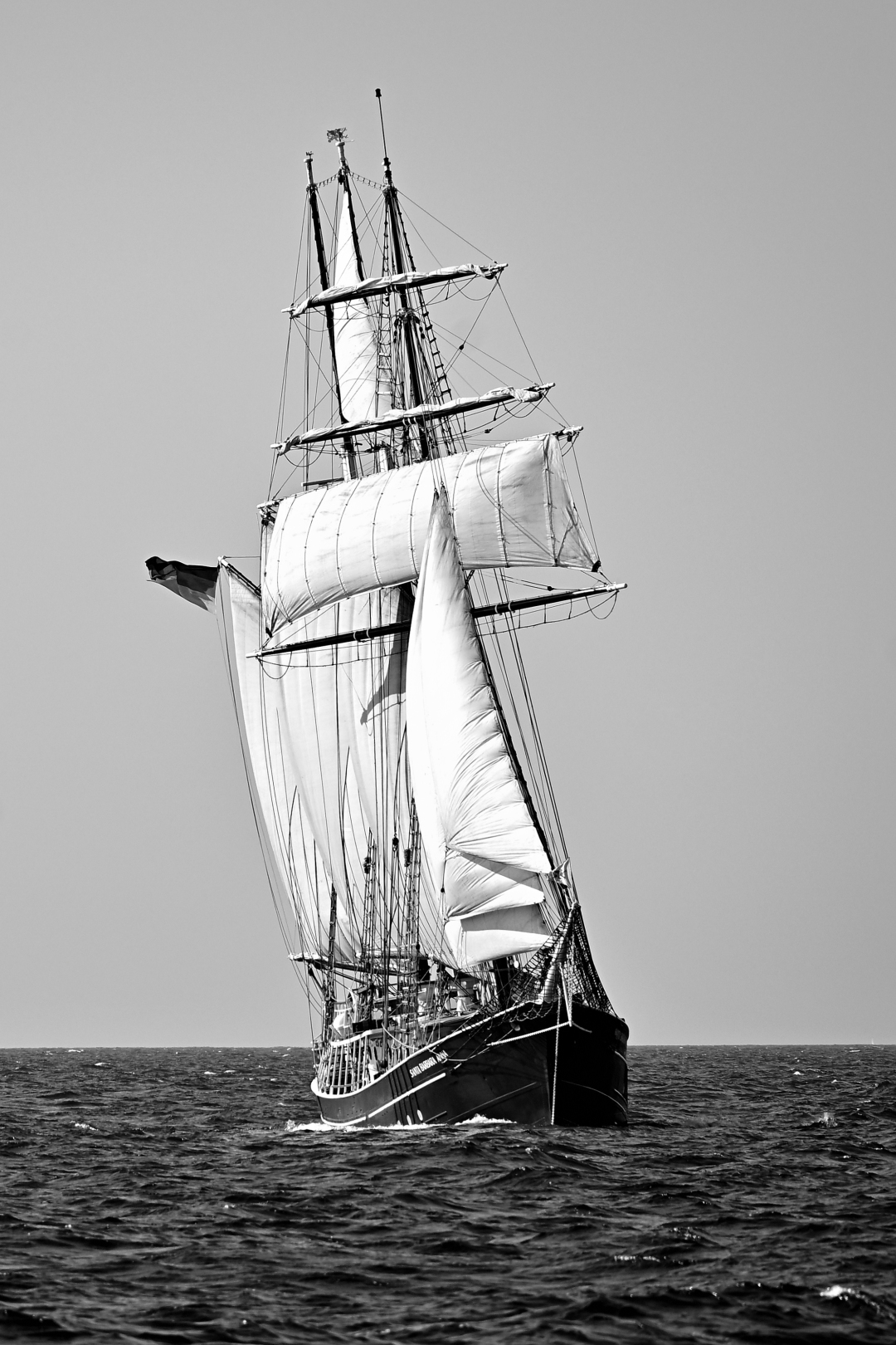 20250813-170125bw-2k.jpg