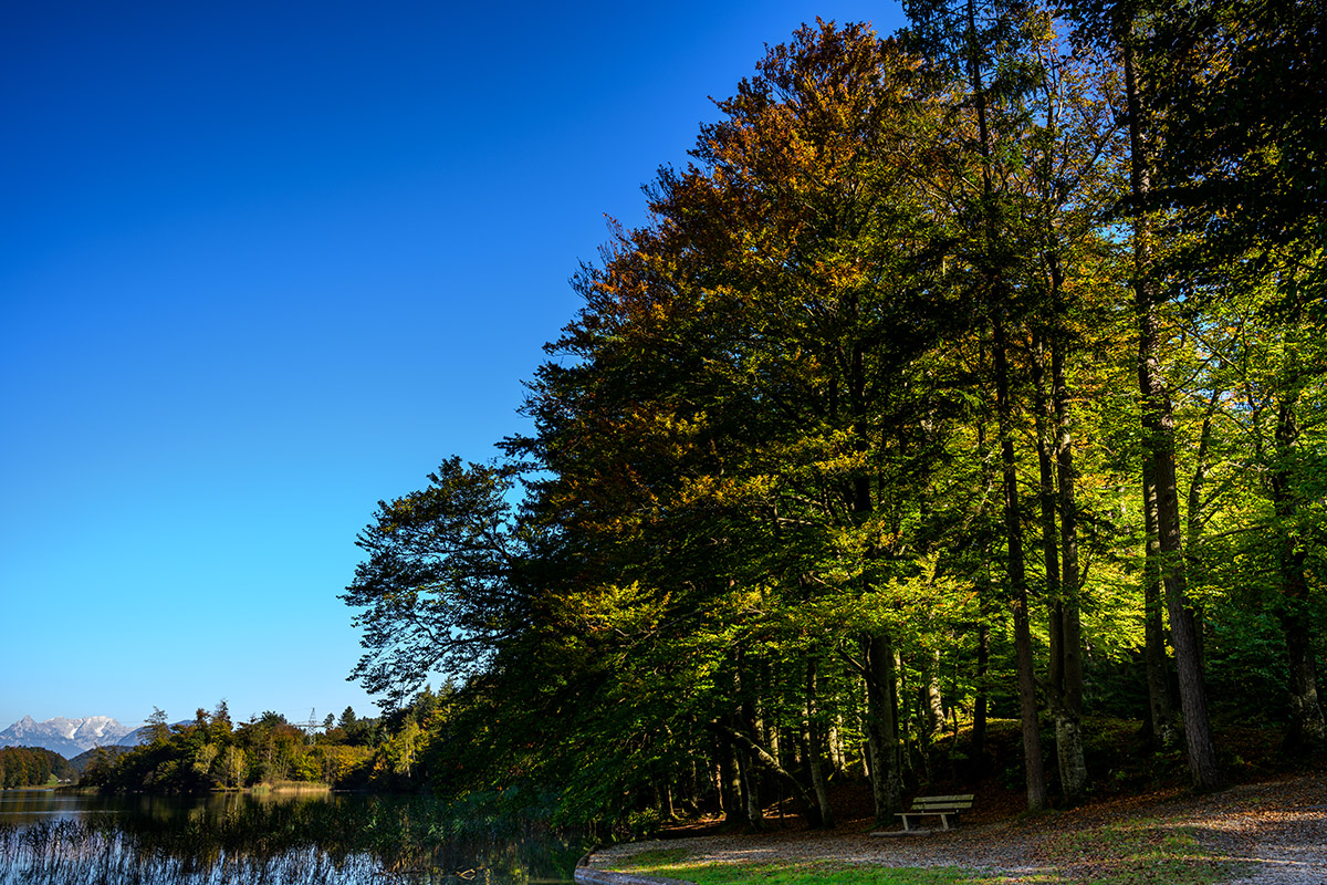 20211018_NZ7_1519NF.jpg
