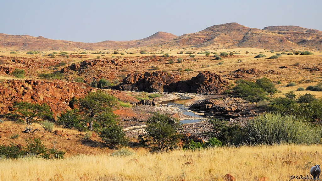 Ein seichter Fluß mit wenig Wasser schlängelt sicht durch rotbraune Felsen. Im Hintergrund sind Grasebene und Berge.