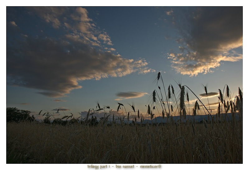 s_DSC_0082_lzn.jpg