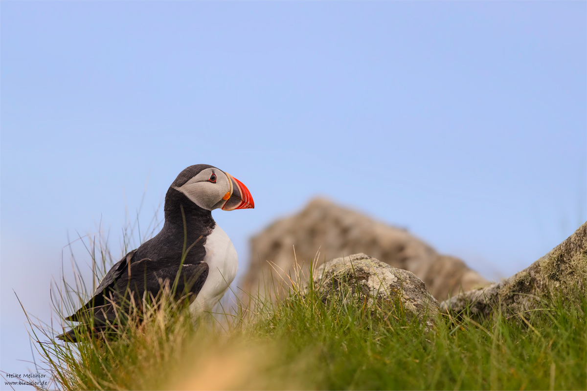 20140511_0162_1_PS_1200Px.jpg
