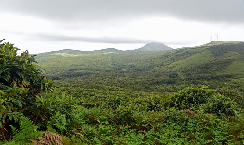 d75_8637.jpg
