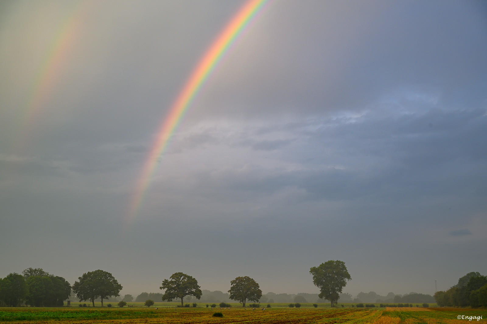 DSC_0502.jpg