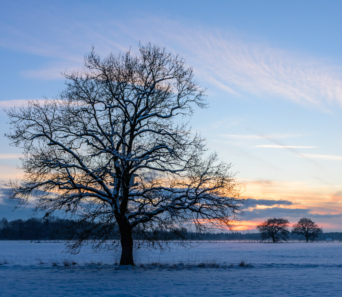 DSC_5387-2.jpg