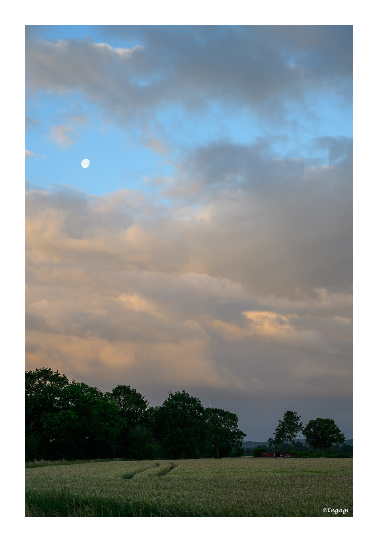 DSC_9877.jpg