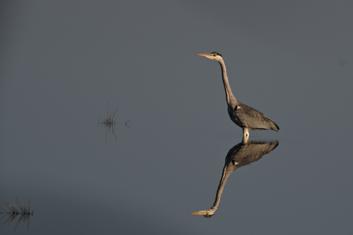 full
