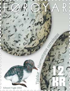 Faroe_stamp_421_bird_eggs_oystercatcher.jpg