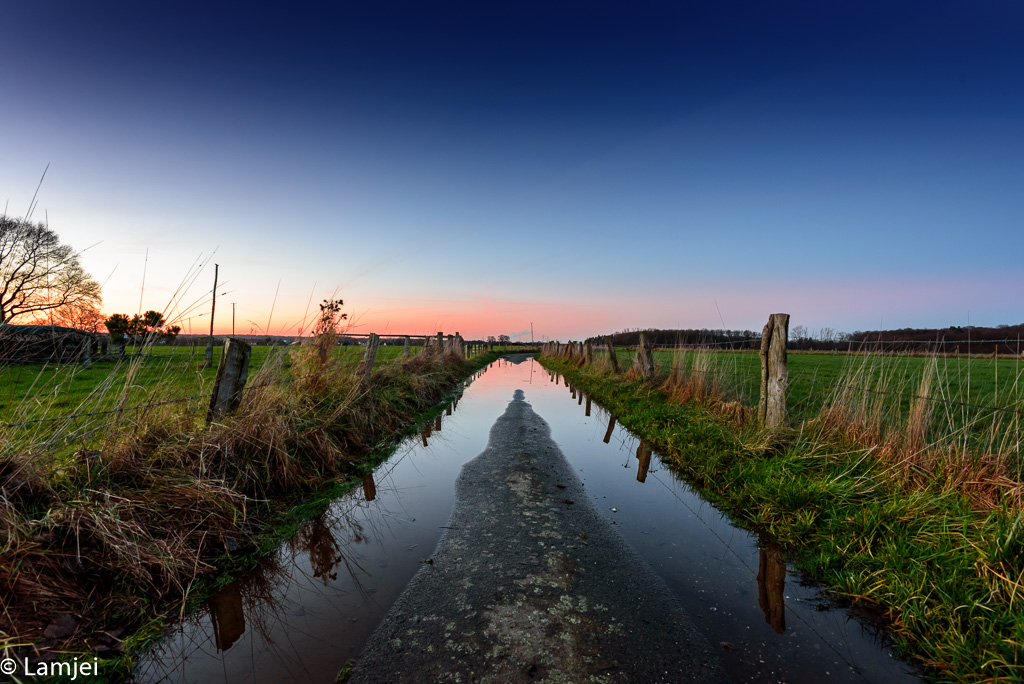RWN_0594.jpg