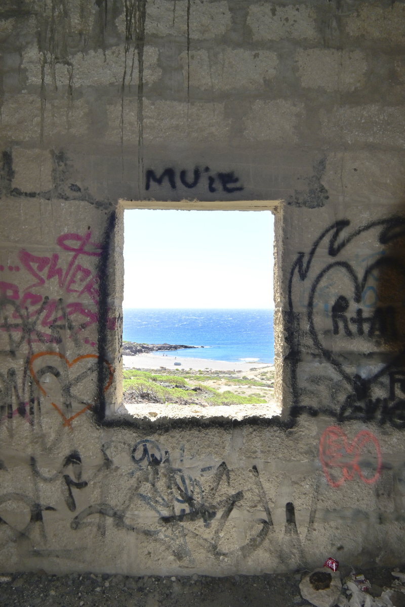 _U022487-800x1200.jpeg