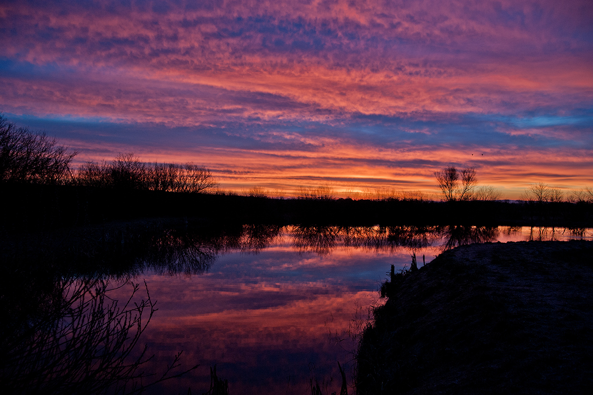 sonnenaugang-181.jpg