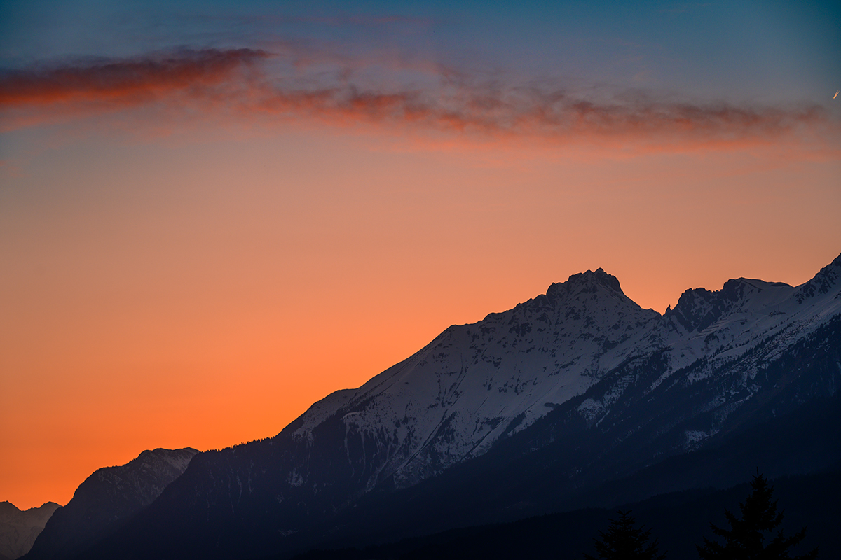20220320_NZ7_1320NF.jpg