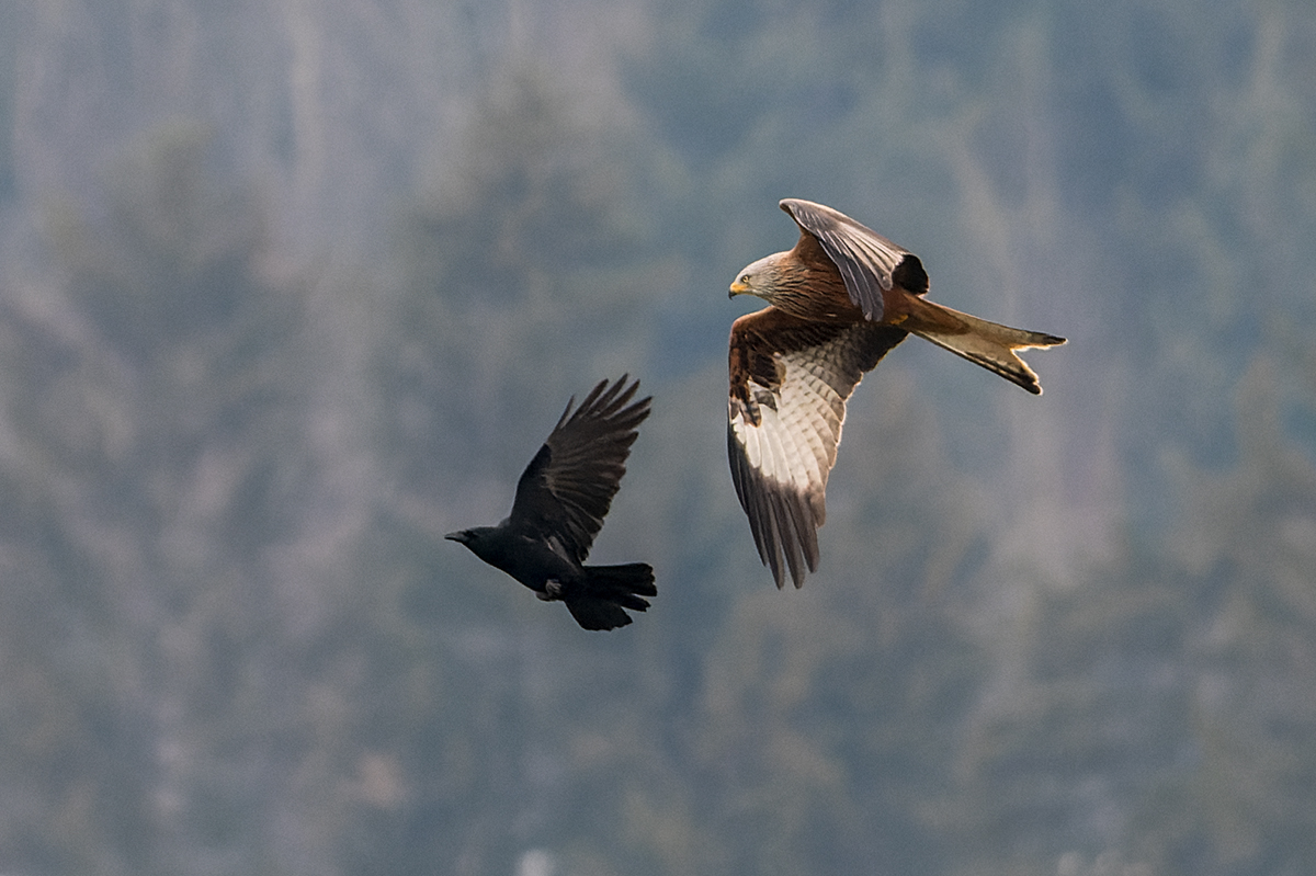 20211226_D500_1610_DxO2NF.jpg