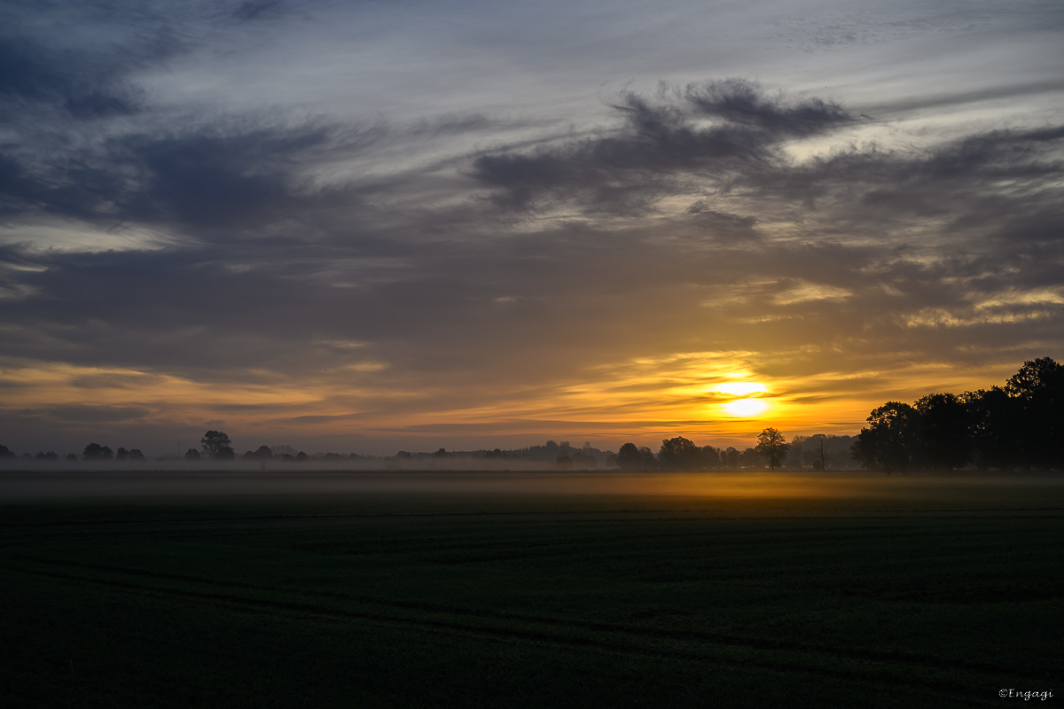 DSC_3512.jpg