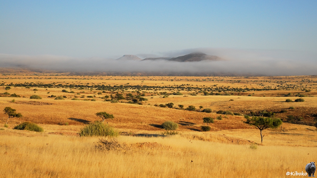 Aus einer Ebene mit trockenem Gras ragt ein Berg heraus. Der Berg ist mit Wolken umhüllt. Nur die Spitze ragt über die Wolken.