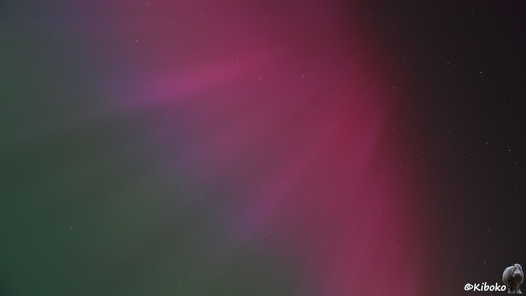 Das Bild zeigt ein Polarlicht am Himmel Helle Streifen laufen von rechts oben nach links unten. Der rechte Bildbereich ist dunkel. Dann folgt ein roter Bereich. Der geht bis zum linken Bildrand in einen rosa, violetten, blauen Streifen in eine grüne Fläche über.
