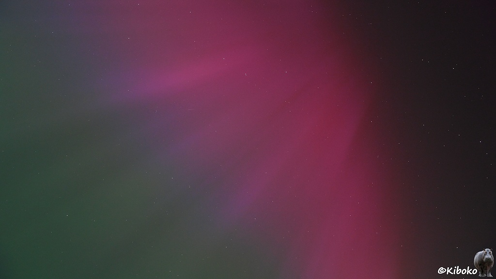 Das Bild zeigt ein Polarlicht am Himmel Helle Streifen laufen von rechts oben nach links unten. Der rechte Bildbereich ist dunkel. Dann folgt ein roter Bereich. Der geht bis zum linken Bildrand in einen rosa, violetten, blauen Streifen in eine grüne Fläche über.