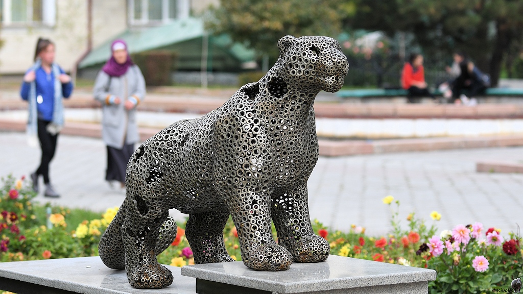 s246_Bishkek_Schneeleopard_5892.jpg