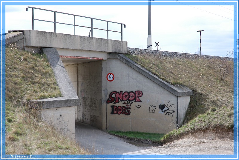s_DSC_01790001.jpg